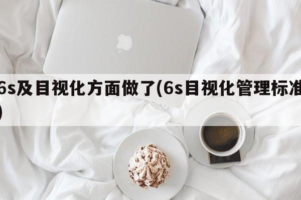 6s及目视化方面做了(6s目视化管理标准)